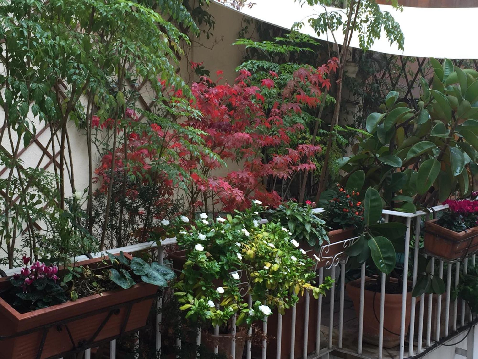 Relais Teatro Argentina Bed & Breakfast Roma Ngoại thất bức ảnh